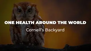 One Health Around the World: Cornell&rsquo;s Backyard