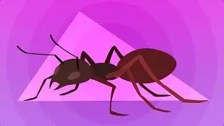 Apache Ant – быстрый старт
