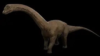 Sauropoda | Long Neck Dinosaur | Ngchipv(ShortVer)