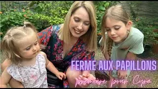 FERME AUX PAPILLONS / FÊTES DES MÈRES▶️ CAMILYSSIE