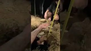 Erobb Finishes Digging The Hole #Shorts