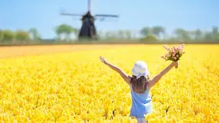 НИДЕРЛАНДЫ / ПАРК ЦВЕТОВ