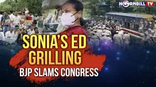 NATIONAL HERALD CASE: ED GRILLS SONIA GANDHI