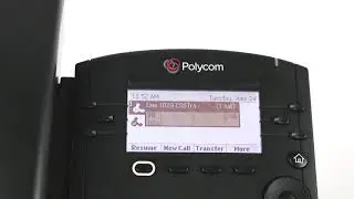 Polycom VVX 301 - Hold and Resume