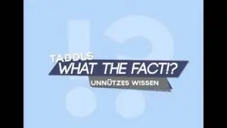 meatcaketv What the fact intro Musik  MrintroBeats