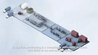 From the sea to the supermarket – a journey into high-tech fish processing