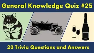 General Knowledge Quiz #25 (20 Trivia Questions and Answers)