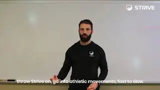 STRIVE 101: How to use STRIVE