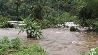 Flood during Idukki Dam open in 2018 August. PERIYAR VELLAKKAYAM