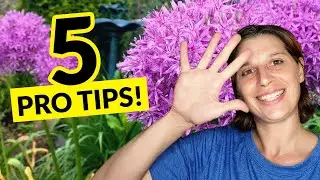 5 Garden Color Tips for Getting Started