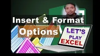 Insert Options & Format Options - How to use Excel - Home Tab