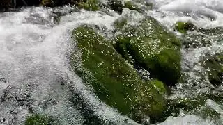 Waterfall Flow Over Mossy Rocks 💧🌿 | Close-Up Nature Sounds