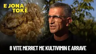 Fermeri tash e 8 vite merret me kultivimin e arrave tregon sa kg ka nxerr nga nje pemishte