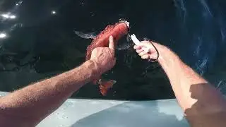 fishing a new spot using c mor maps