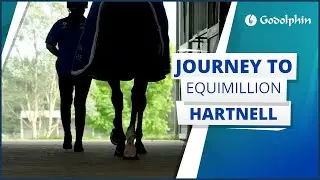 JOURNEY TO EQUIMILLION | Part 3
