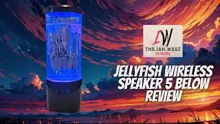 Jellyfish Wireless speaker 5 below review
