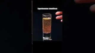 Experimentos Cientificos PARTE 2