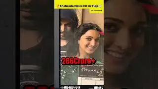 Shehzada Movie Review 🤯🔥| Shahzada Movie Box Office Collection | Pathaan Box Office | #shorts