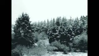 Ostots - Ekaitz Beltza, Ondamena (2013)