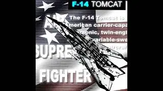 Su-27 & F-14 edit // 