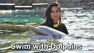 Bucket list checked ✅️ Discovery Cove Florida#swimwithdolphins #dolphins #florida 