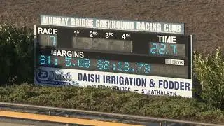 Murray-Bridge-11012026-Race-7