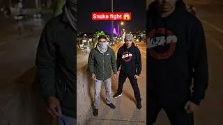 Snake fight 😱🔥#trending #ai #snake #viral #cartoon #shorts #shortsfeed