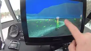 Garmin mapy Bluechart G3 Vision