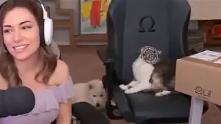 twitch thot does questionable things to animals