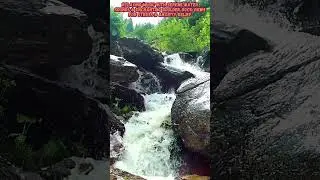 Nature's Respite #shorts #youtubeshorts #relaxingmusic #watersounds #serenity #naturesounds #viral