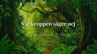 N&auml;r kroppen s&auml;ger nej &ndash; om stress, sj&auml;lvk&auml;nsla & l&auml;kning