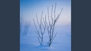 Winter ohne dich