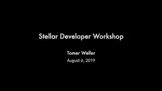 Stellar Developer Workshop с Томером Веллером