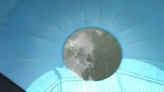 Dolphin - The Water World | Cyclone