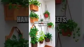 The Art of Space-Efficient Indoor Planting