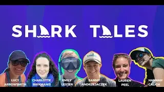 Sunshine and Sea Sickness  |  What life is like for real shark scientists