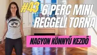 #43 ONLY 6-MINUTE MINI WORKOUT. Easy Standing Full-Body Movement for Beginners 