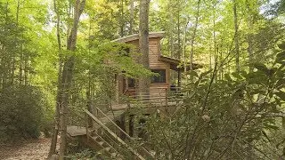 Treehouses provide unique getaway in the Red RIver Gorge