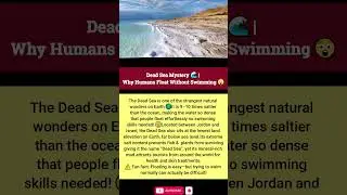 Dead Sea Mystery 🌊 | Why Humans Float Without Swimming 😲