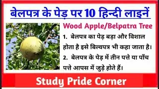 10 Lines on Belpatra Tree in Hindi | Belpatra Ped Par 10 Lines| बेलपत्र के पेड़ पर 10 हिन्दी लाइनें