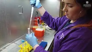 03. Seed Sterilization - BIOL2203