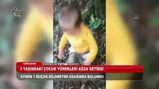 Giresun’da 3 yaşında kaybolan çocuk ormanda bulundu