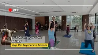 Yoga for Back Pain Relief | Full Yoga Class | Sciatica, Lower Back, Upper Back | Beginners Friendly