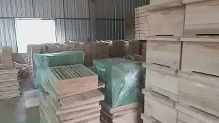 Caixas de abelha Beethoven agropet