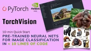 TorchVision Quick Start: Image classifier in 10 mins