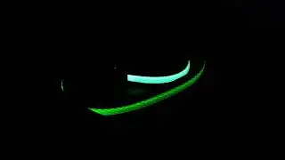4 PAWS TECH Lemon Lime Nightline LED Leash