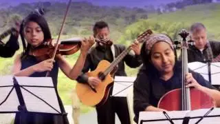CEDRO NEGRO - Luna Sur