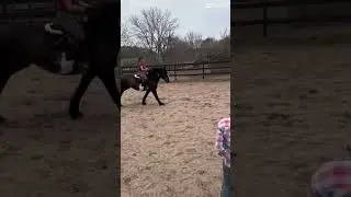Gorgeous girl 💗  #fypyoutube  #horse  #equestrianjourney #christianfigure  #godisgood #christian