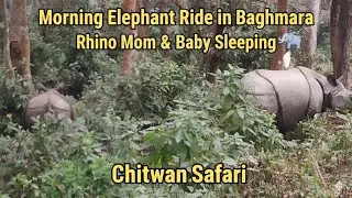 Morning Elephant Ride in Baghmara Jungle 🐘 | Rhino Mom & Baby Sleeping | Chitwan Safari
