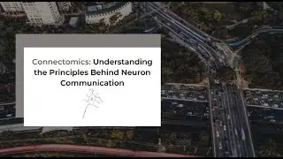Understanding the Principles Behind Neuron Communication│Connectomics